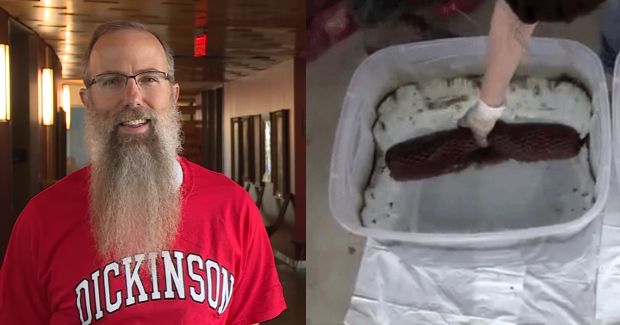 Man Cleans Up Oil Spill Using His Beard
