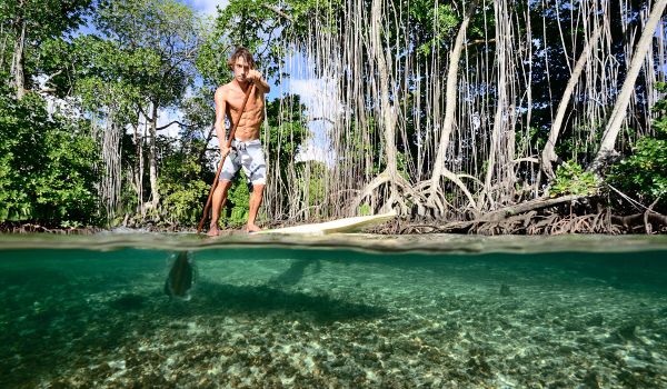 Source: Huffington Post Australia