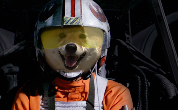 Source: LikaLaika/Reddit