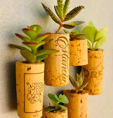 Source: EverAfterBluePrint.com