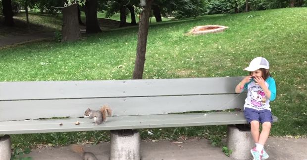 Watch This Girl’s Baby Tooth Get Pulled Out by a Squirrel
