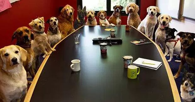 Source: CBS Baltimore