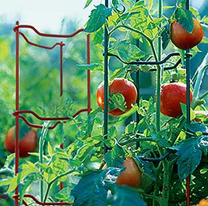 Source: Gardeners.com