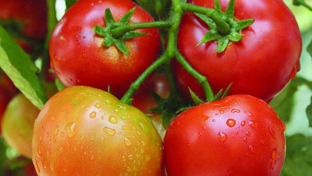 Source: TheWorldLink.com