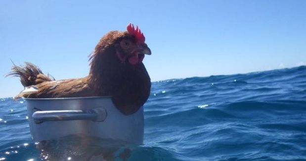 Source: Guirec Soudee