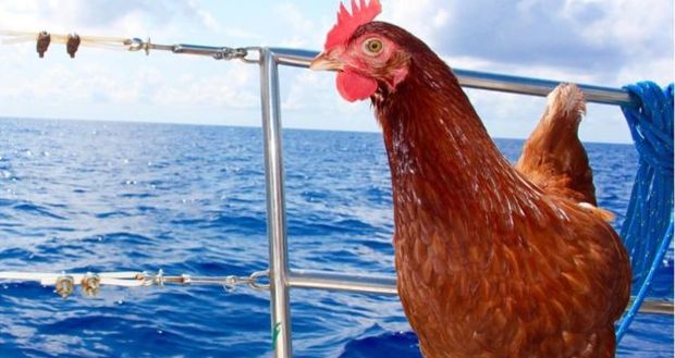 Source: Guirec Soudee