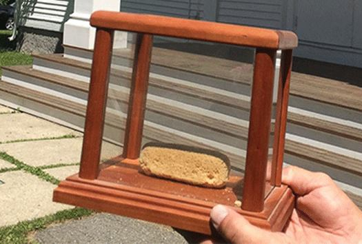 Source: Facebook/Crown of Maine