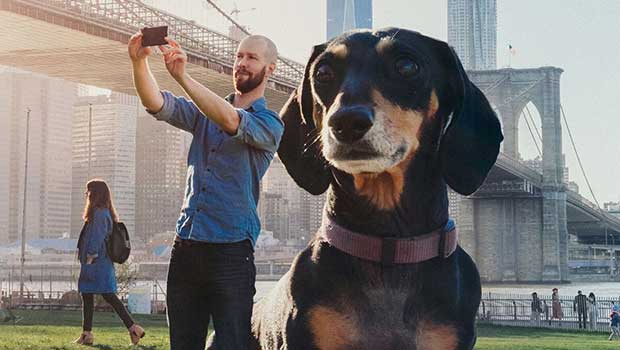 Larger Than Life Dachshund Inspires Youngsters to Face Their Fears
