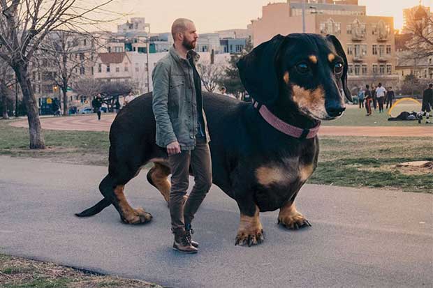 Source: Mitch Boyer/Kickstarter