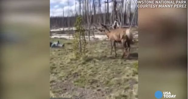 Source: YouTube/USA Today