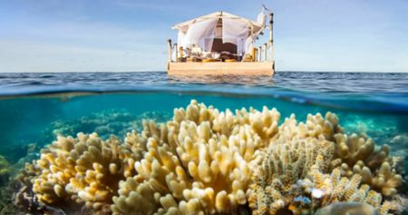 Thanks to Airbnb You Can Now Spend the Night on the Great Barrier Reef With Dory and Nemo