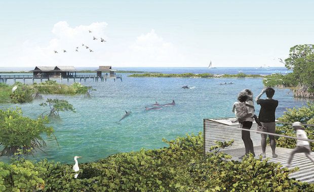 National Aquarium Planning First North American Seawater Dolphin Habitat