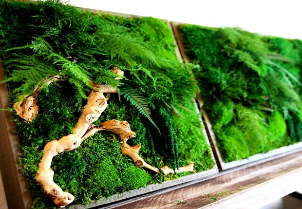 Source: mymodernmet.com