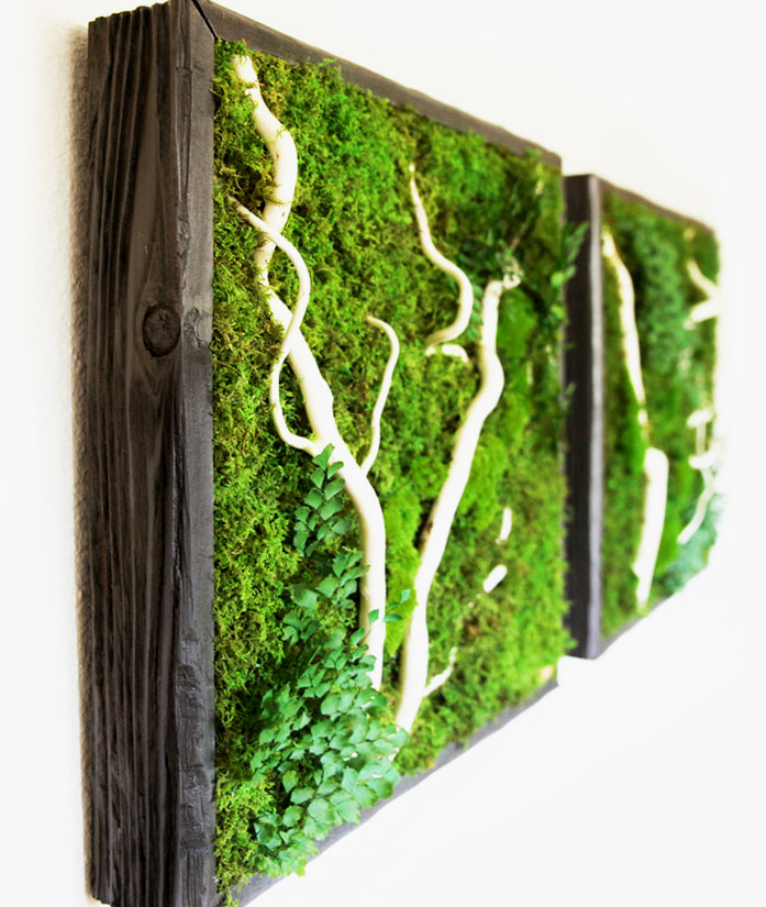 Picture of Self-Sustaining and Eco-Friendly Wall Art Brings Nature Indoors - Your ...