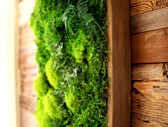 Source: mymodernmet.com