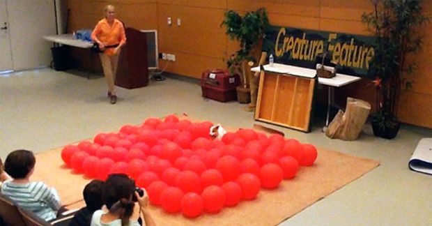 Energetic Pup Pops 100 Balloons to Break Guinness World Record