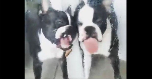 Source: Facebook Jennifer Brannon