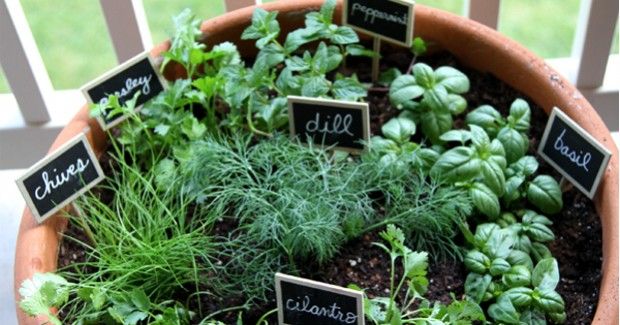 Source: blackeiffel.blogspot.com