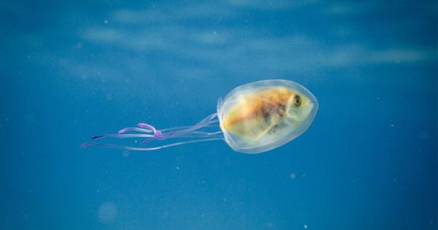 Source: Tim Samuel Photography