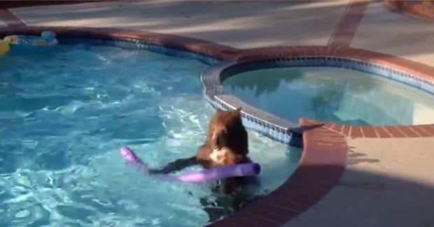 Source: Marilyn Di Filippo