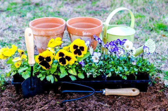 Source: blogs.angloinfo.com