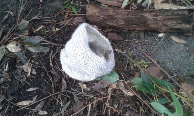 Source: : LOUISE HAYNES / ABC NEWS