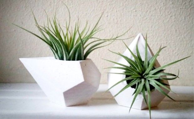 Source: yourcloudparade.com