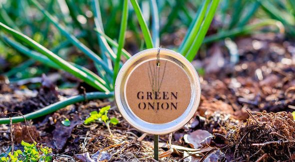 Source: hometalk.com