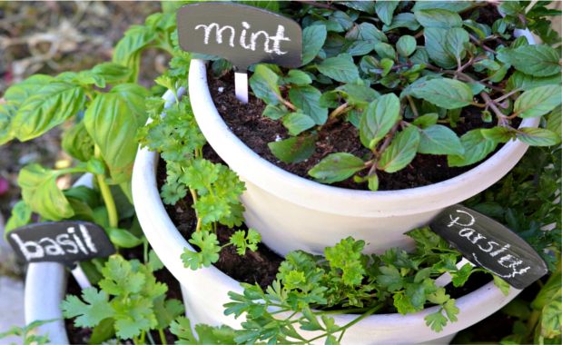 Source: fancyfrugallife.com