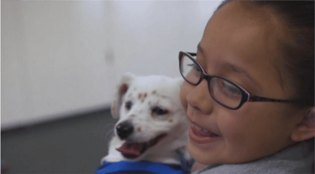 Pasadena Humane Society/SPCA/1620 media