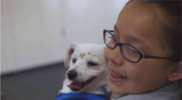 Someone for Everyone: Deaf Girl Bonds With Deaf Puppy Through Sign Language