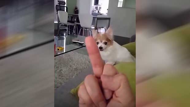 Source: YouTube/Caught on Cam