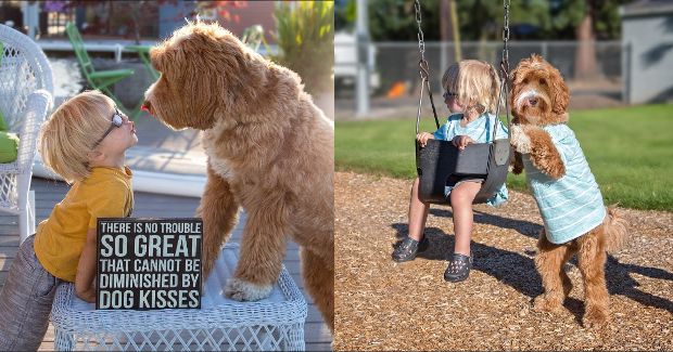 Foster Child and Dog Make Adorable Duo