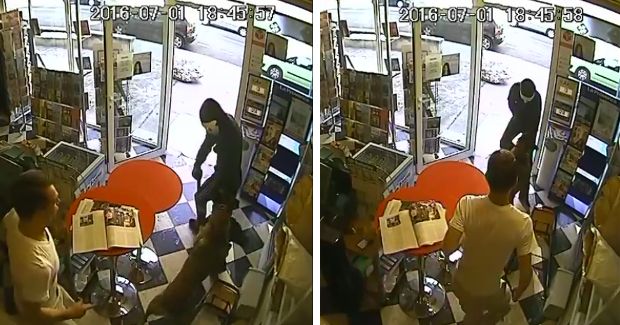 Watch This Dog Save a Store Owner From Being Robbed