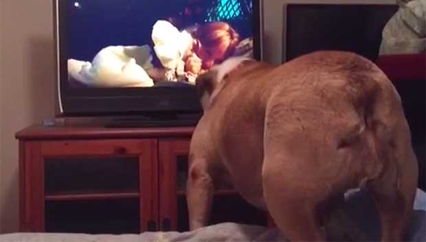 Source: Rumble/Khaleesi12