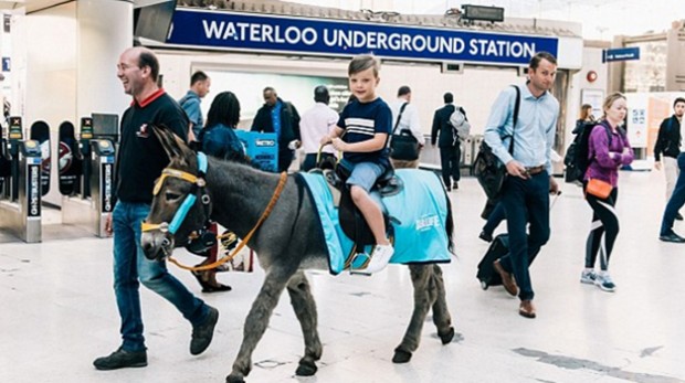 Source: Mikael Buck/Merlin Entertainment