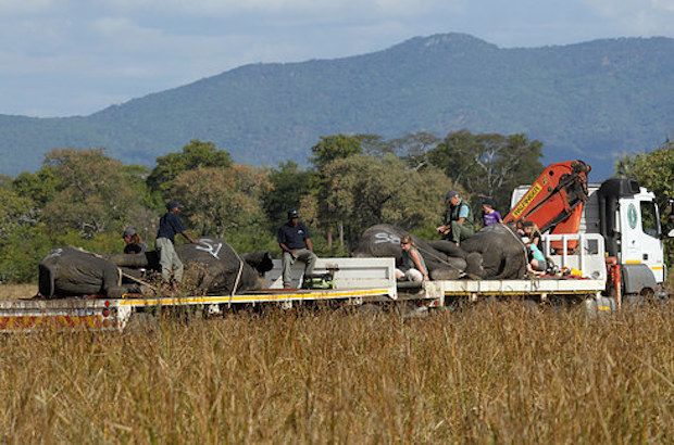 Source: Tsvangirayi Mukwazhi / AP