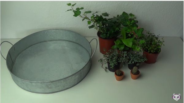 Source: YouTube/AkameruKawaii