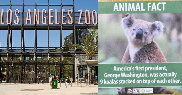 Comedian Puts Up Hilarious Fake Animal Facts Around Los Angeles Zoo