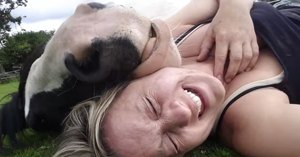 The Way This Horse Naps on Its Owner Is Gold