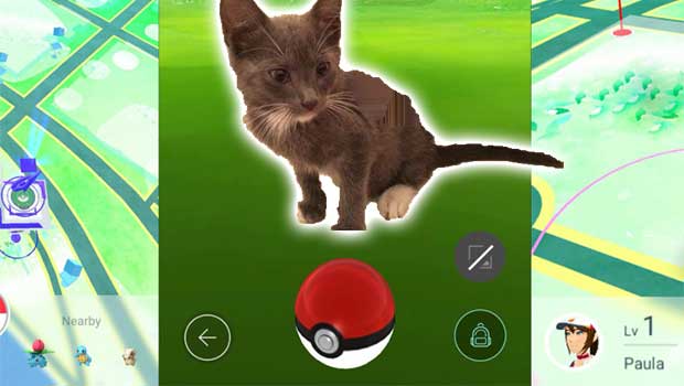 ‘Pokemon Go’ Helps Woman Rescue Injured Kitten