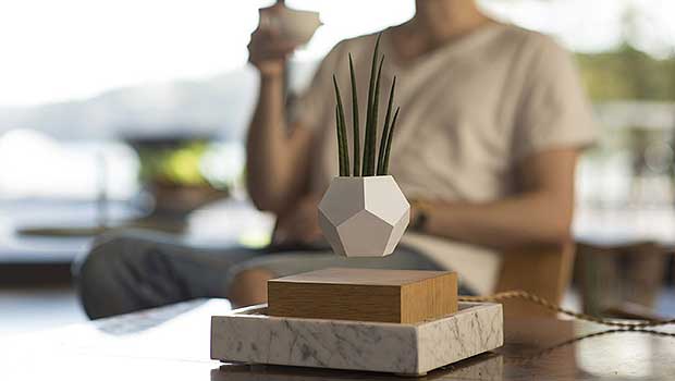 Floating Flora Is the Modern Home Decor You Need in Your Life