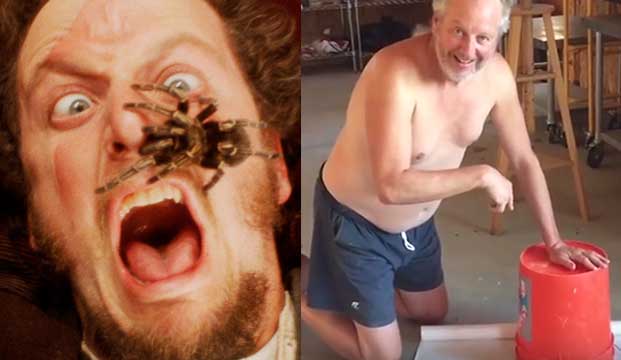 Famous ‘Home Alone’ Star Finds Co-Star in Unlikely Place