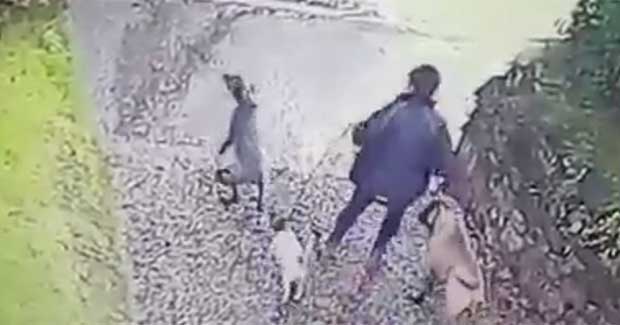 Source: Twitter/Alex Tarr