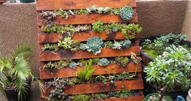 How to Build a Pallet Garden