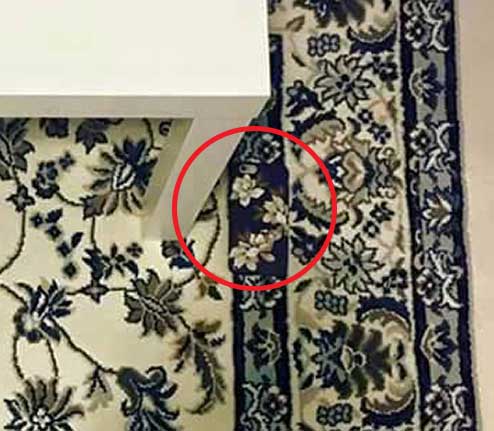 Source: Facebook/Heather Rooney