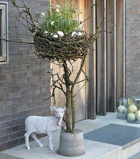 Source: Pinterest/Blooms.de