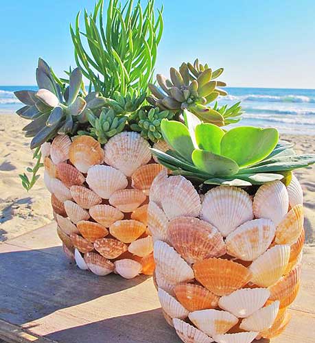 Source: Pinterest/Billabong Women's