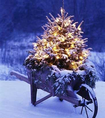 Source: Pinterest/Art.com