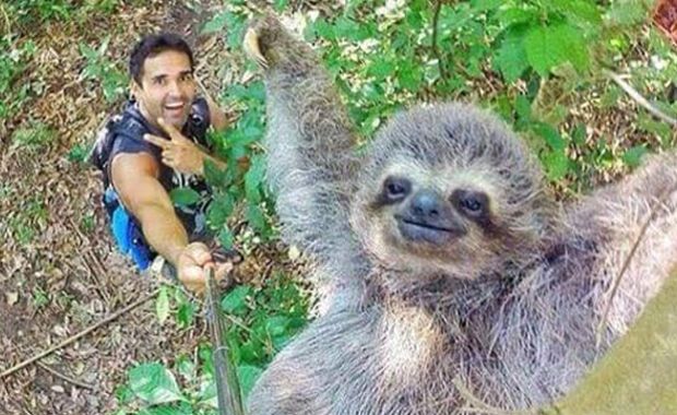 Source: Imgur NicolasHuskar